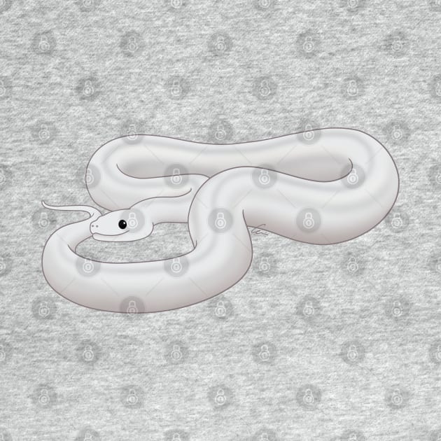 Leucistic Boa Constrictor or Super Fire Boa by anacecilia